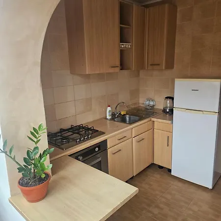 Apartment Nicolae Romanescu Park Craiova