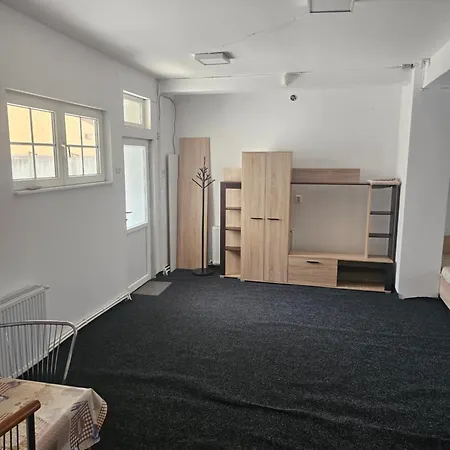 Nicolae Romanescu Park Apartmán