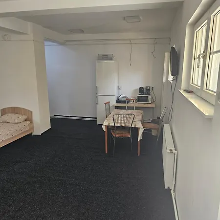 Apartmán Nicolae Romanescu Park *