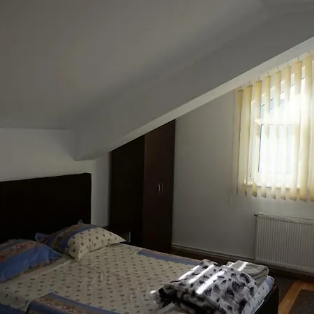 Nicolae Romanescu Park Apartmán *