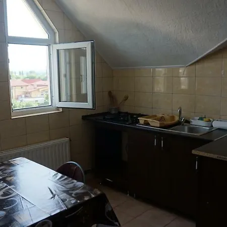 Nicolae Romanescu Park Apartment *