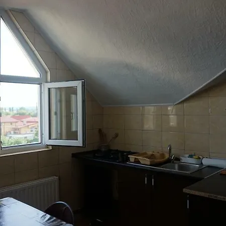 Nicolae Romanescu Park *