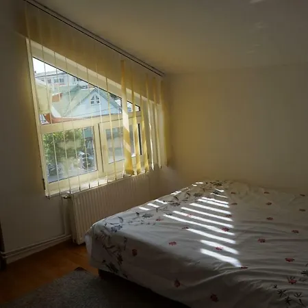 Nicolae Romanescu Park Apartment