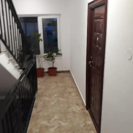 Apartment Nicolae Romanescu Park *