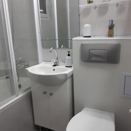 Nicolae Romanescu Park Apartment