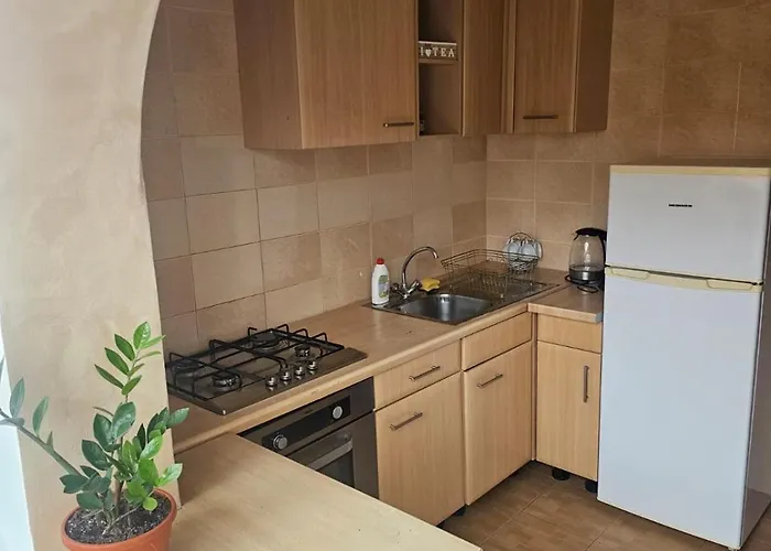 Appartement Nicolae Romanescu Park Craiova