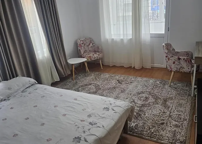 Nicolae Romanescu Park *