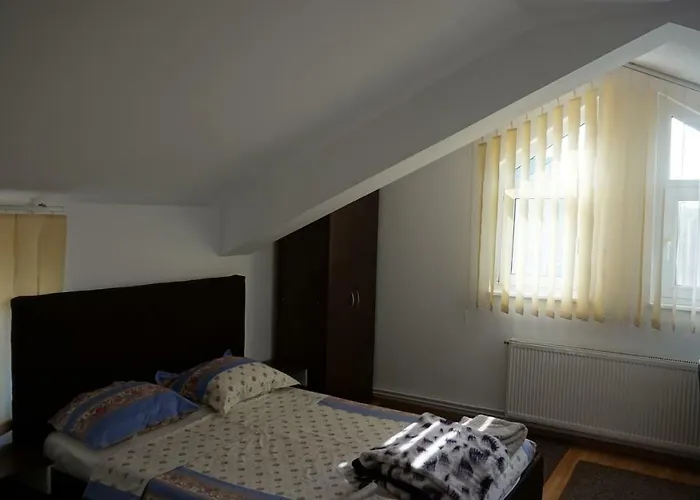 Nicolae Romanescu Park 公寓 *