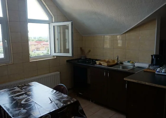 Nicolae Romanescu Park Appartement *