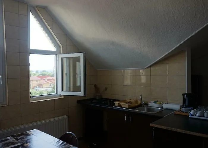 Nicolae Romanescu Park *