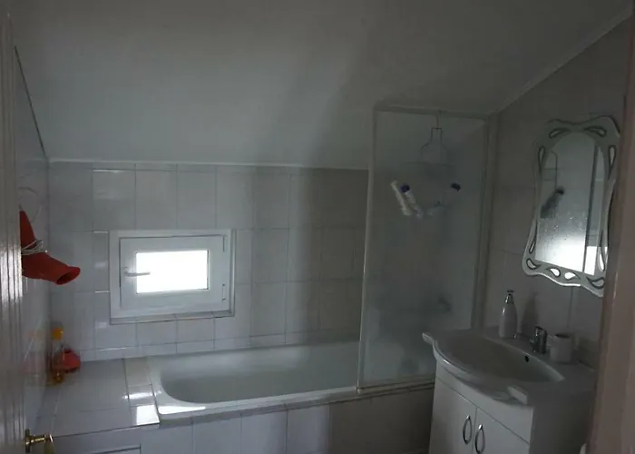 Nicolae Romanescu Park * 克拉奥华