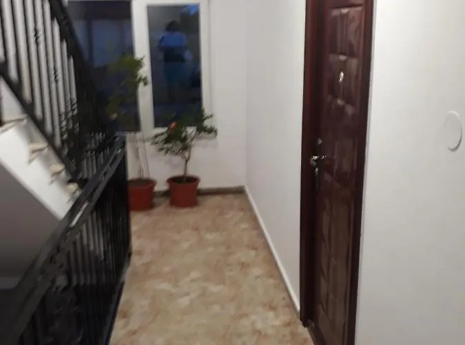 Appartement Nicolae Romanescu Park *